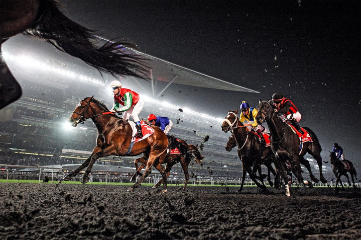 Galopprennbahn in Meydan - 11FREUNDE SHOP - NoSports - Reitsport Foto als Wandbild