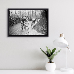 Fahrradschieben auf der Flandern-Rundfahrt 1952 - Wandbild