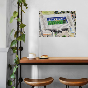 Stadia Art: White Hart Lane (1) - Poster bestellen - 11FREUNDE SHOP