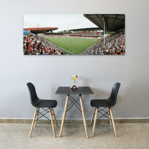 Cottbus Stadion der Freundschaft 2009 11FREUNDE BILDERWELT