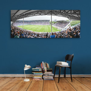 Mannheim (2016) - Stadion Wandbild Carl-Benz-Stadion - 11FREUNDE SHOP