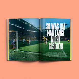 11FREUNDE Ausgabe #260