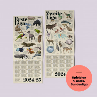 11FREUNDE Ausgabe #273 – Bundesliga-Sonderheft 2024/25