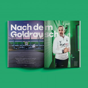 11FREUNDE Ausgabe #245 - Magazin bestellen