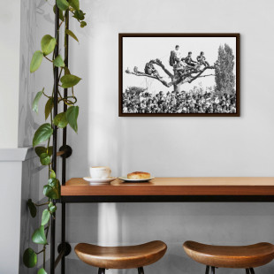 Fans auf dem Baum - 11FREUNDE BILDERWELT