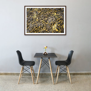 Gelbe Wand - Farbe (1) - 11FREUNDE SHOP - Fußball Wandbild - BVB - Borussia Dortmund