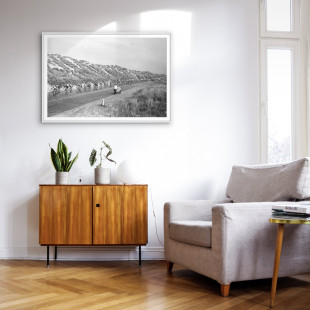 Flandern-Rundfahrt 1961 - Wandbild