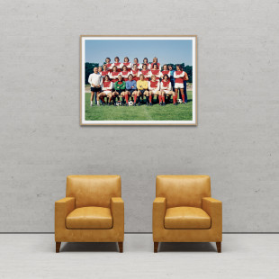 1. FC Köln 1974/75 Mannschaftsfoto - 11FREUNDE BILDERWELT