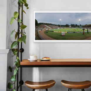 Stadionfoto: SV Darmstadt 98 - Stadion am Böllenfalltor - 11FREUNDE BILDERWELT