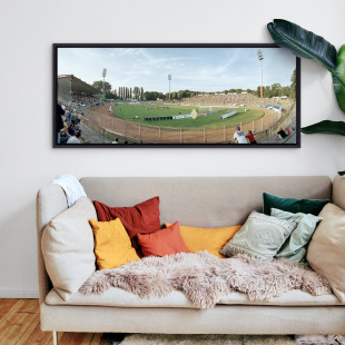 Darmstadt Stadion am Böllenfalltor 11FREUNDE BILDERWELT