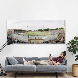 Darmstadt (2015) - Stadionfoto - Poster - 11FREUNDE SHOP