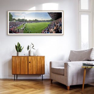 SV Meppen - Emslandstadion - 11FREUNDE Stadionposter Motiv - Panorama-Wandbild 