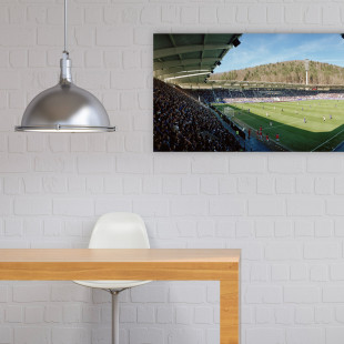 Aue (2018) - Stadion Wandbild Erzgebirgsstadion - 11FREUNDE SHOP