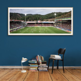 Freiburg (2020) - Schwarzwald-Stadion - Fußball Wandbild - 11FREUNDE SHOP