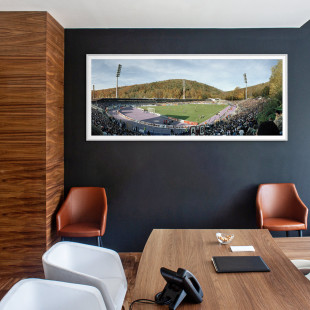 Aue Erzgebirgsstadion - 11FREUNDE BILDERWELT