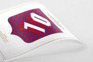 Legendary XI: Lyon als Poster