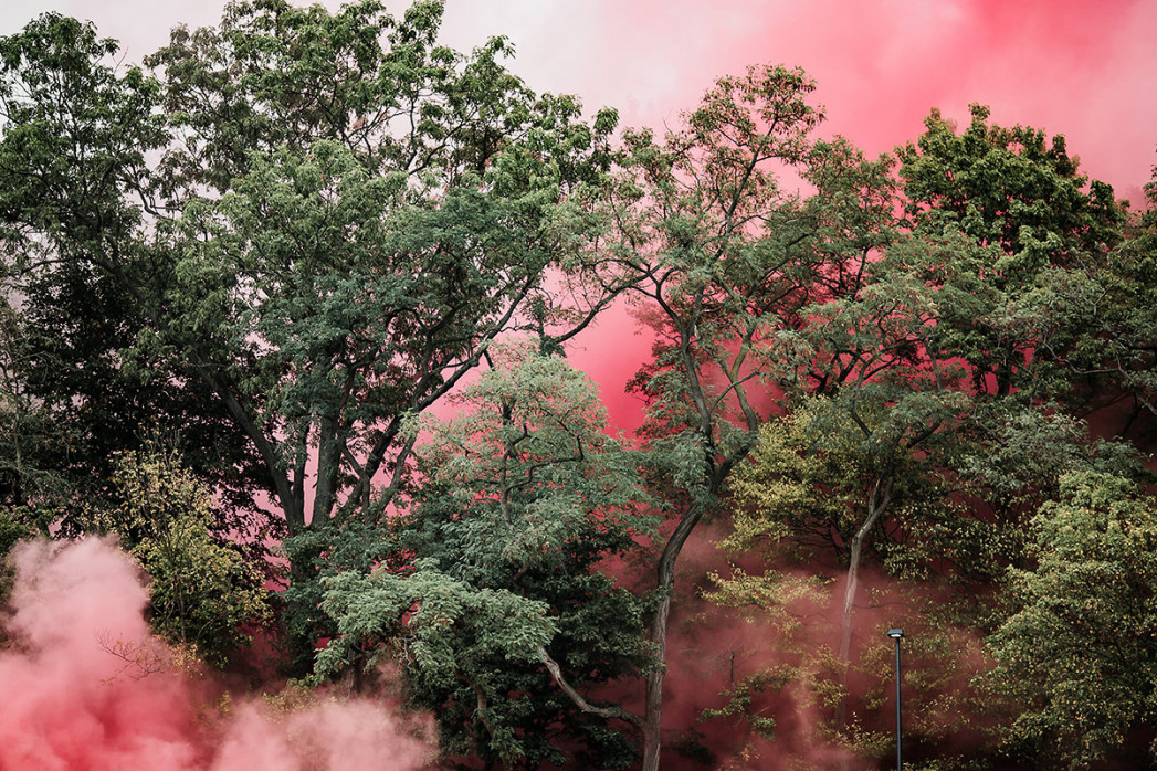 Roter Rauch - Wandbild