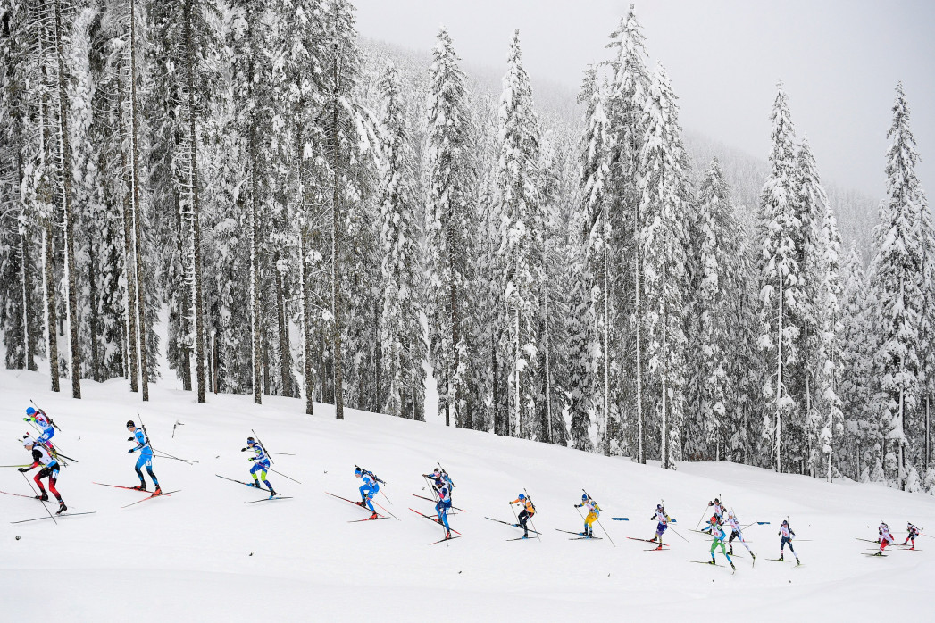 Biathlon vor verschneitem Wald