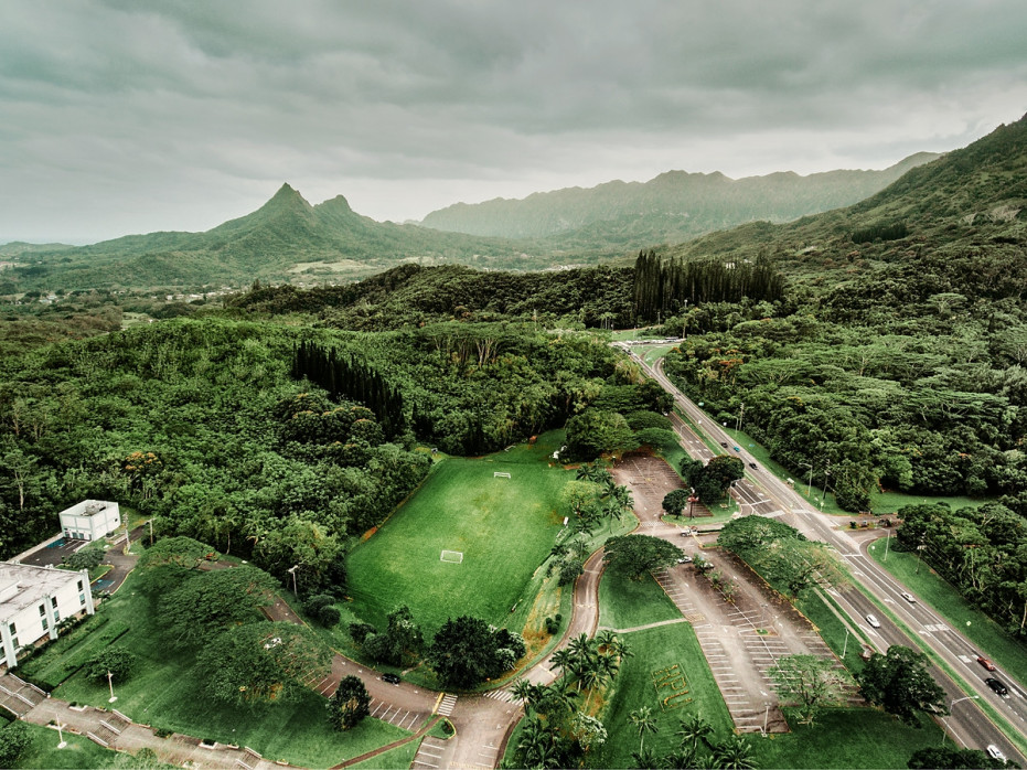 Fußballplatz in Honolulu - Wandbild