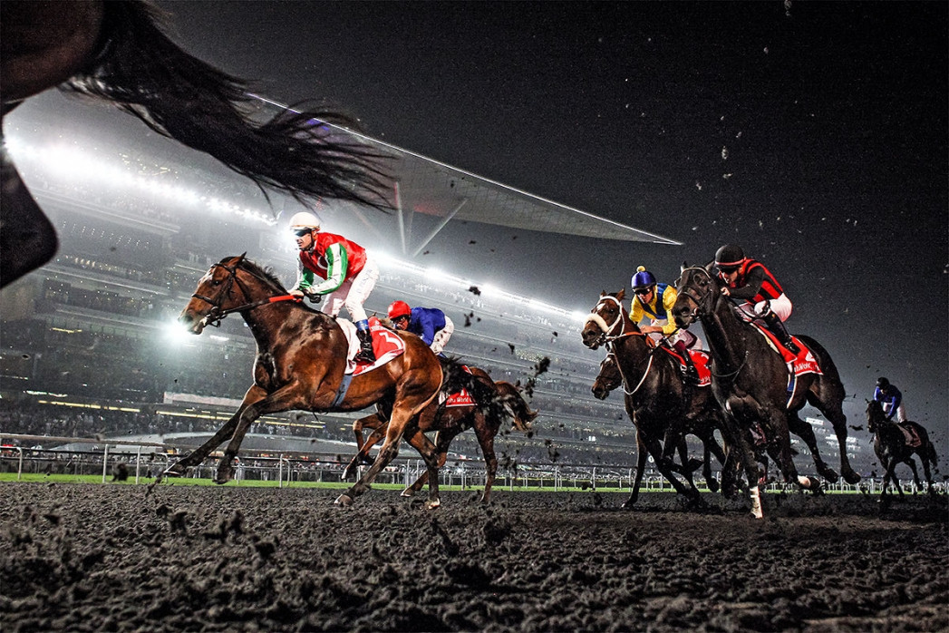 Galopprennbahn in Meydan - Wandbild