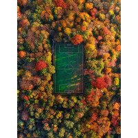 Fußballplatz im Herbstwald (Hochformat) - Wandbild