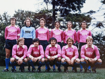 HSV in Rosa - Wandbild