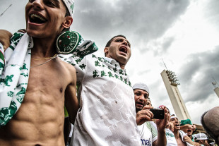 Palmeiras Fans In The Stand - Gabriel Uchida - 11FREUNDE BILDERWELT
