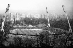 Blick auf Dresden und das Stadion