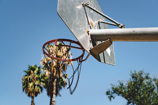 Basketpalms - Wandbild