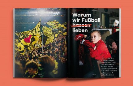11FREUNDE Ausgabe #217