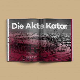 11FREUNDE Ausgabe #234
