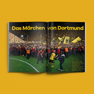 11FREUNDE Ausgabe #236