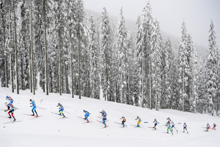 Biathlon vor verschneitem Wald