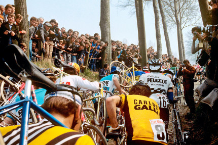 Fahrradtragen bei der Flandern-Rundfahrt - Sport Fotografien als Wandbilder - Radsport Foto - NoSports Magazin - 11FREUNDE SHOP