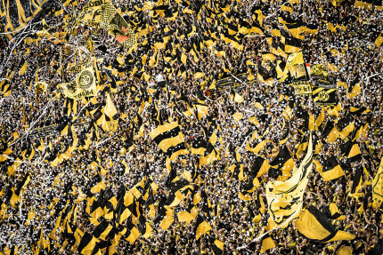 Gelbe Wand - Farbe (1) - 11FREUNDE SHOP - Fußball Wandbild - BVB - Borussia Dortmund