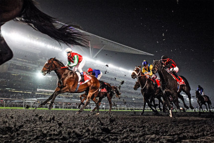 Galopprennbahn in Meydan - 11FREUNDE SHOP - NoSports - Reitsport Foto als Wandbild