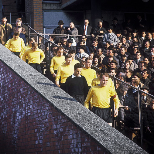 BVB im Niedersachsenstadion