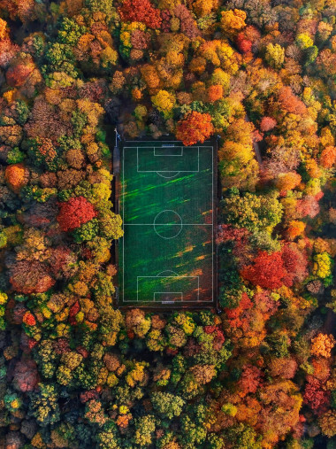 Fußballplatz im Herbstwald (Hochformat) - Wandbild