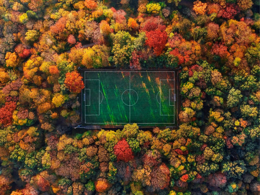 Fußballplatz im Herbstwald (Querformat) - Wandbild